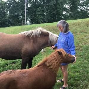 Meet your Posher, Patricia